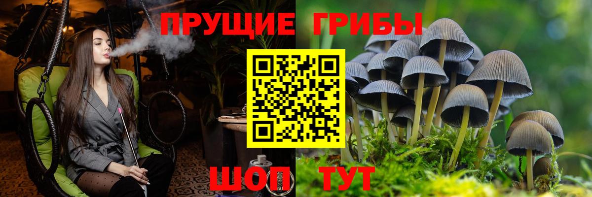 Галлюциногенные грибы Psilocybine cubensis  Вход с VPN  Псилоцибиновые грибы ЛСД  Заинск 